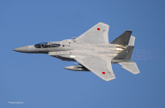 Enhc-F-15J-52-8863-305th-Squadron-sR-6699