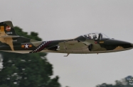 IMG_4709 (1000x540)