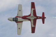 Snowbirds3