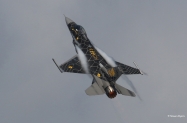 Sun_Venom1
