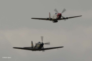PursuitFlight
