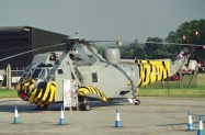 sea-king-2-2-denoise-clear