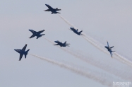 IMG_4381 (1000x675)
