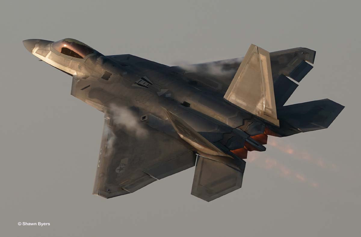 Raptor