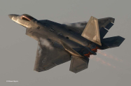 Raptor
