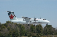 jaxx dhc81 1